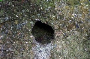 音が聞こえる巨石の穴（直径20センチくらい）