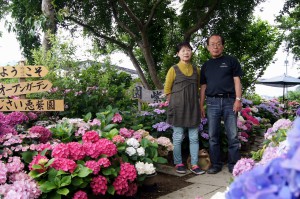 オープン・ガーデンのあじさい園「恵紫園」の佐々木さん夫妻