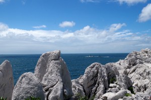 白崎海洋公園内の石灰岩