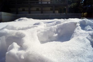 高野山・壇上伽藍の雪