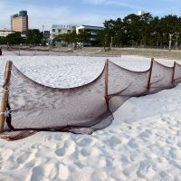 白良浜の砂飛散防止ネット
