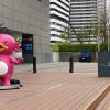 白浜パンダショック！ 250426