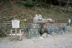 再建60年、和歌山城を訪ね、和歌山公園をめぐる旅