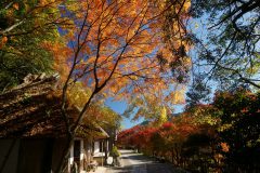 上富田から中辺路、秋の熊野古道を楽しむ旅