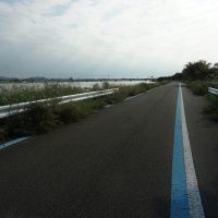 紀ノ川右岸自転車専用道