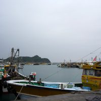有田箕島漁港の漁船群