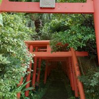 厳島神社の鳥居群