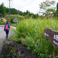 熊野古道を歩く女子