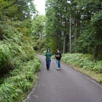 熊野古道を歩く女子