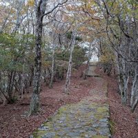 護摩壇山山頂への山道