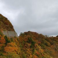 高野龍神スカイラインの紅葉