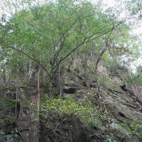 そびえる岩の壁