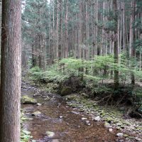 川の水は澄んでいる