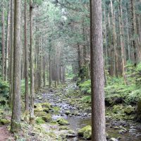 上流側をずっと見通せる