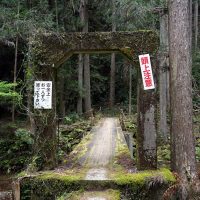 吊られていない吊り橋