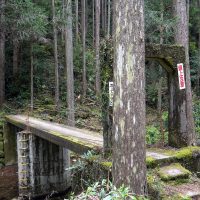 橋脚がある吊り橋