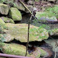カエルのような形の岩