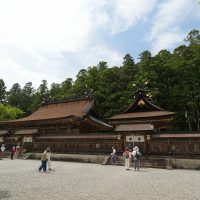檜皮葺きの社殿が並ぶ境内