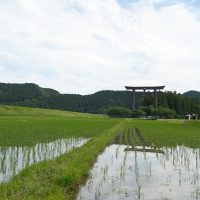 田園風景の中、大鳥居へ