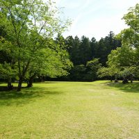 緑が広がる旧社地