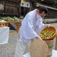 宮司による梅漬けの儀