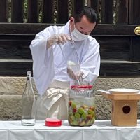 宮司が梅酒を仕込む