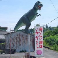 恐竜に誘われて