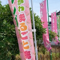 スタンプラリーの幟