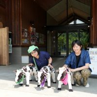 道の駅四季の郷公園