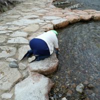 伊舞さんが何かしてる