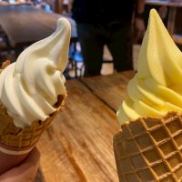 ソフトクリーム食べ比べ