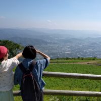 有田川一帯の眺望を楽しむ