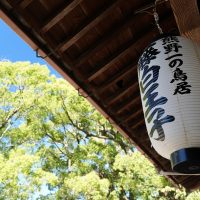 提灯が格好いい