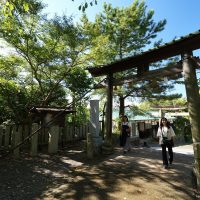 大鳥居をくぐる