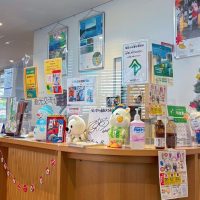 観光交流センター